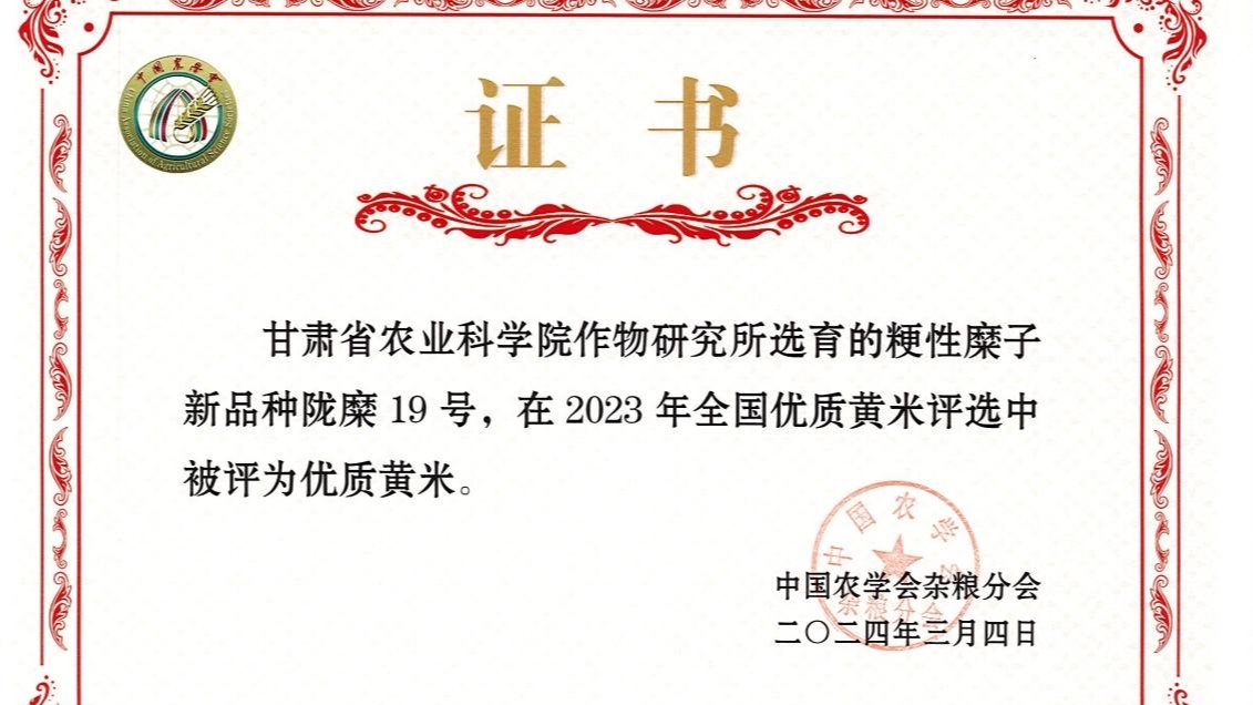 糜子新品種“隴糜19號”千畝示范田測產(chǎn)活動在會寧縣舉辦